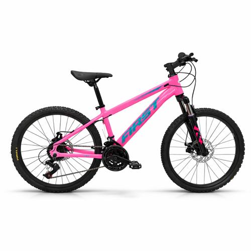 B.20 FIRST SMITT ROSA