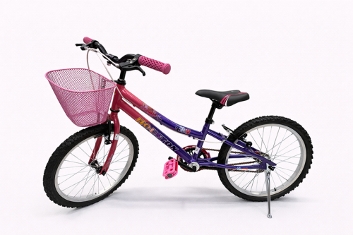 B.20 HOUSTON ROSAROXO