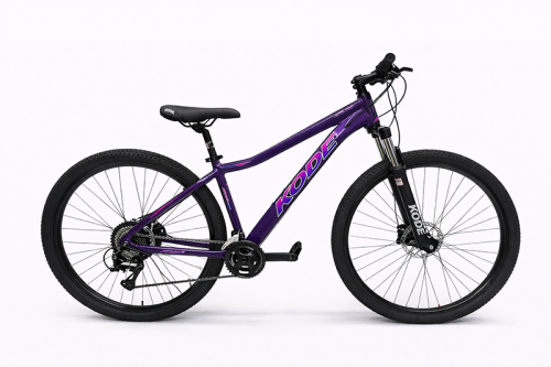 B.20 KODE HILDEBRANDO ROXA 15