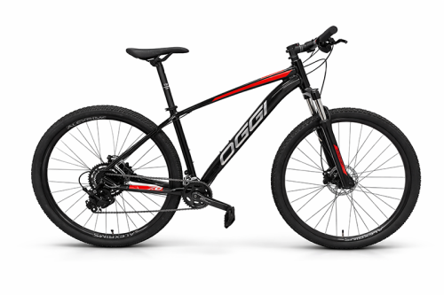 B.29 OGGI 7.0 PTOVERM 15 2026