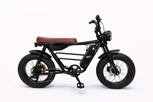 B. ELETRICA STREETGO s12